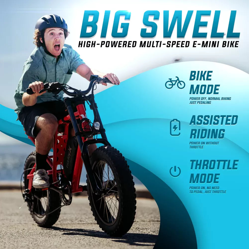 Ebiketurbo X Nike Joint Cooperation 48V 15Ah 1000W Motor 8-speed transmission shifter