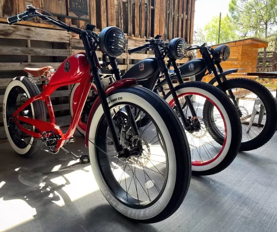 2025 NEW PREMIUM ELECTRIC BIKE