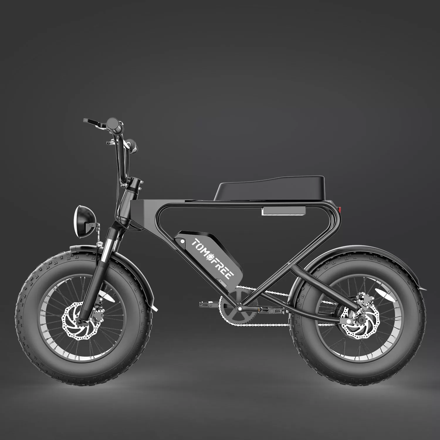 E-Bike DK200 Electric Bike 1200W Motor 20Ah Battery with 20