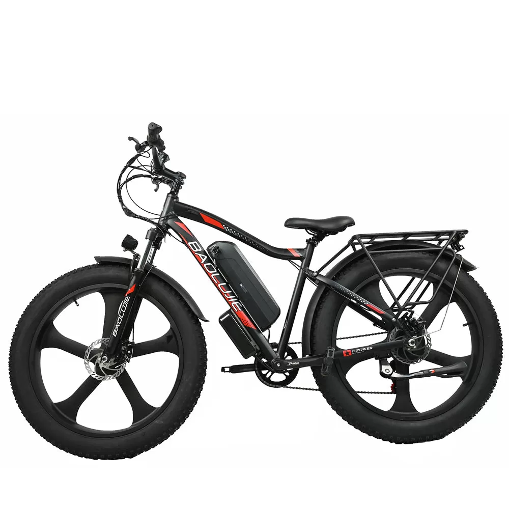 E-bike DP2620 All-in-one Tire 48V 13AH 750W Performance Motor