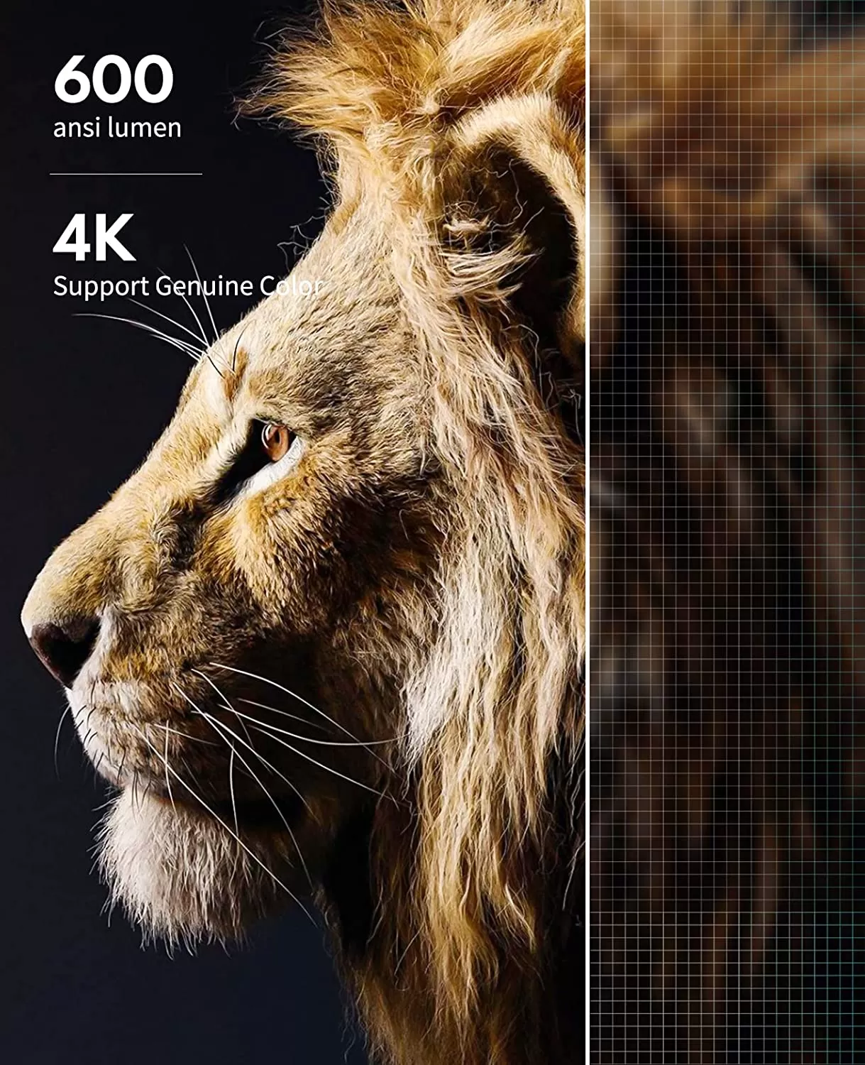 GooDee Projector 4K with WiFi and Bluetooth Supported, FHD 1080P Mini Projector for Outdoor Moives, 5G Video Projector for Home Theater Dolby Audio Zoom Portable Projector TV Stick PPT (YG600 Plus)